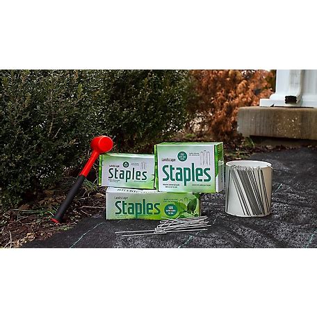 AllThing Metal Galvanized Garden Stakes Landscape .
